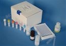 小鼠乳腺肿瘤病毒（MMTV）ELISA试剂盒