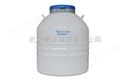 液氮罐YDS-115-216F
