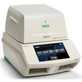 荧光定量 CFX96 Touch PCR仪 美国伯乐